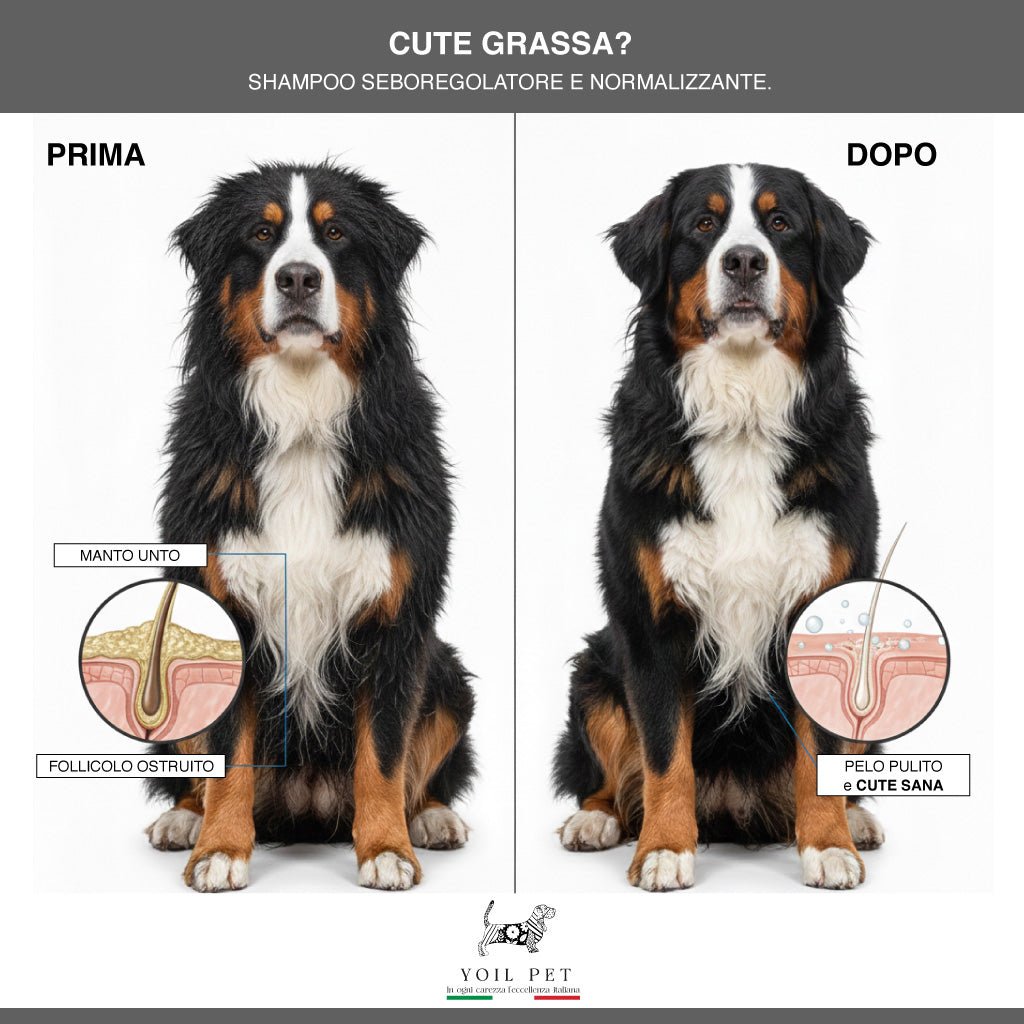 Cute Grassa? - YOIL PET
