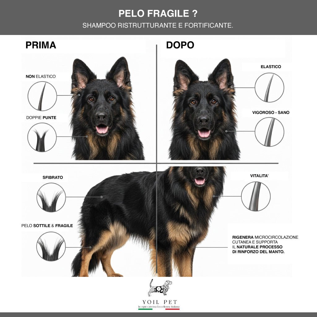 Pelo Fragile? - YOIL PET