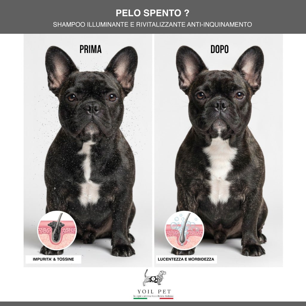 Pelo Spento? - YOIL PET