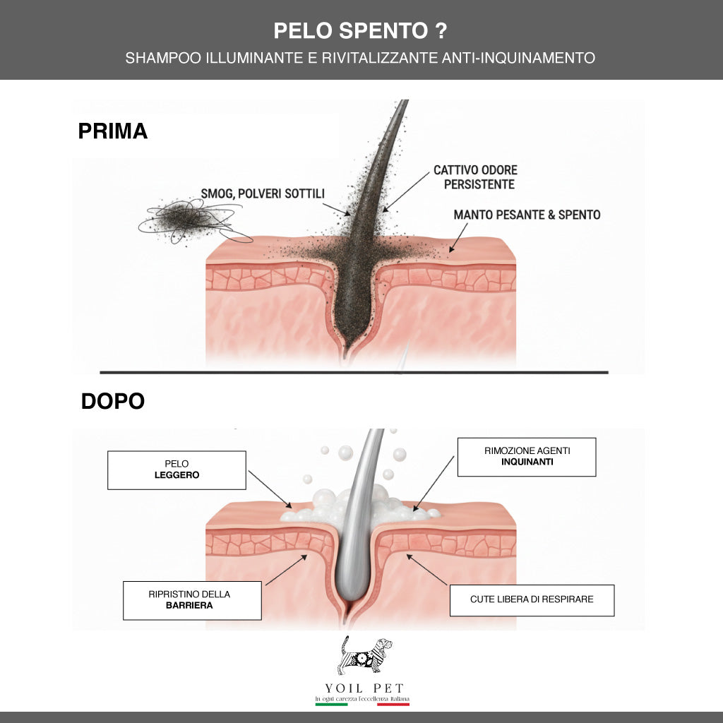 PELO SPENTO?