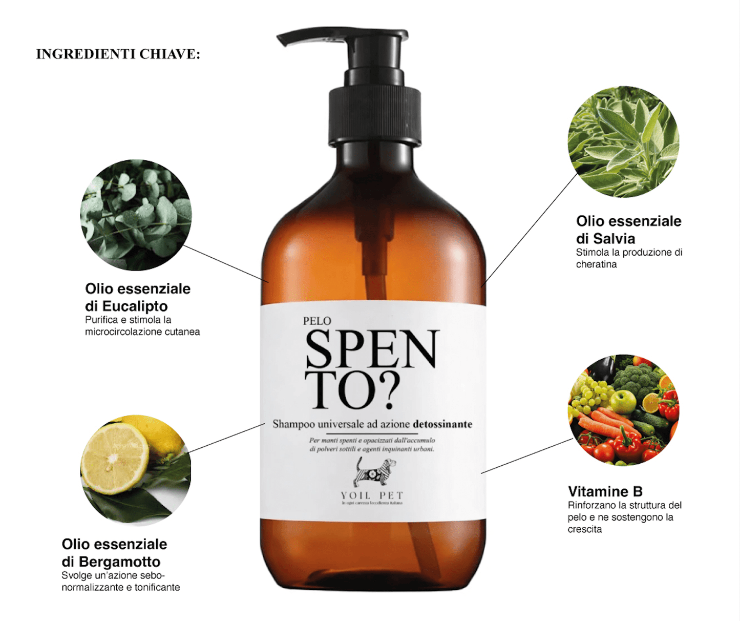 Pelo Spento? - YOIL PET